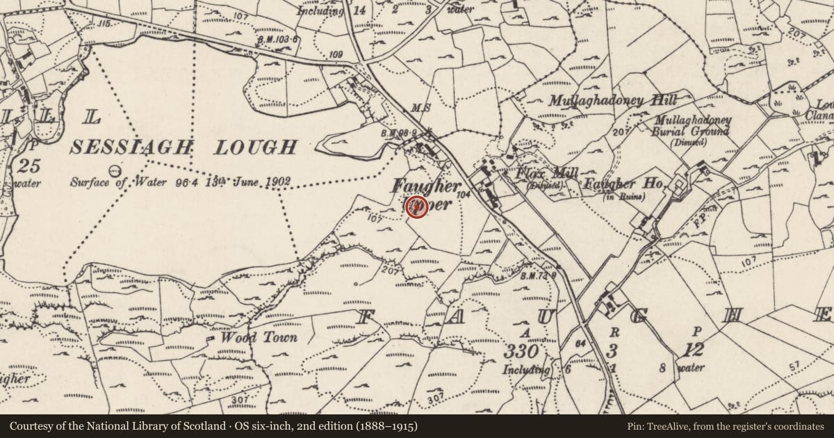 Ordnance Survey six-inch map, 2nd edition (1888–1915) covering the location of Ringfort - cashel, An Fhothair (TC An Ardaidh), County Donegal, with a pin at the register's coordinates