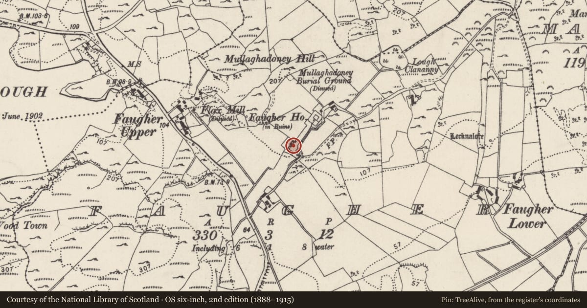Ordnance Survey six-inch map, 2nd edition (1888–1915) covering the location of Bullaun stone, An Fhothair (TC An Ardaidh), County Donegal, with a pin at the register's coordinates