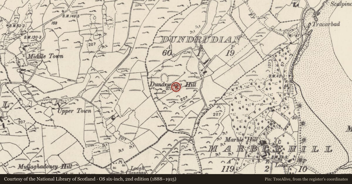 Ordnance Survey six-inch map, 2nd edition (1888–1915) covering the location of Ringfort - rath, Dundrudian, County Donegal, with a pin at the register's coordinates