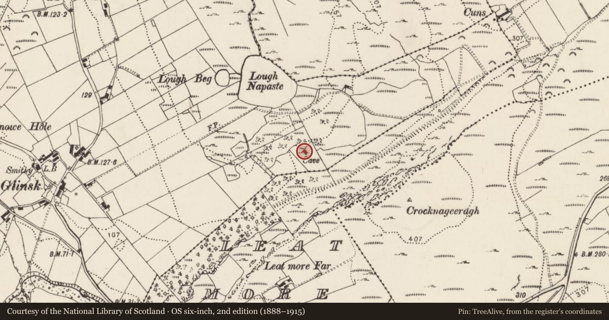 Ordnance Survey six-inch map, 2nd edition (1888–1915) covering the location of Souterrain, Glinsk, County Donegal, with a pin at the register's coordinates