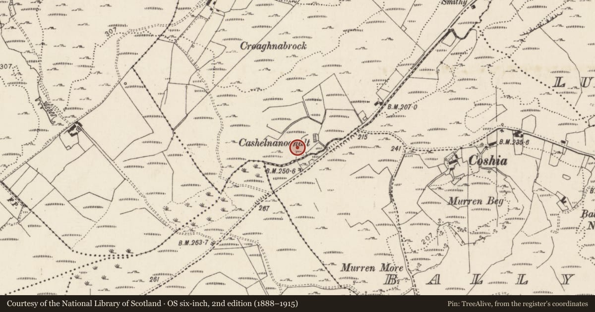 Ordnance Survey six-inch map, 2nd edition (1888–1915) covering the location of Ringfort - cashel, Tulaigh Chonaill, County Donegal, with a pin at the register's coordinates