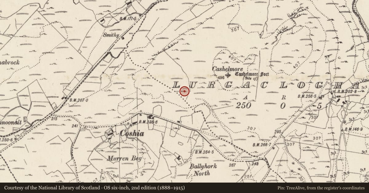 Ordnance Survey six-inch map, 2nd edition (1888–1915) covering the location of Ringfort - cashel, Lurgacloghan, County Donegal, with a pin at the register's coordinates