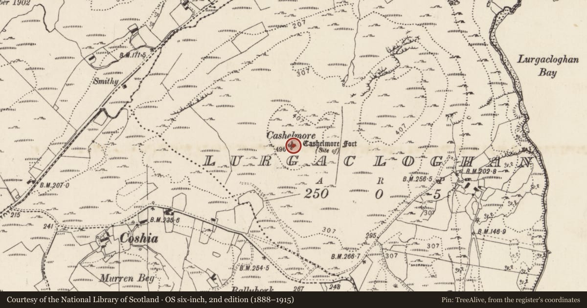 Ordnance Survey six-inch map, 2nd edition (1888–1915) covering the location of Ringfort - cashel, Lurgacloghan, County Donegal, with a pin at the register's coordinates