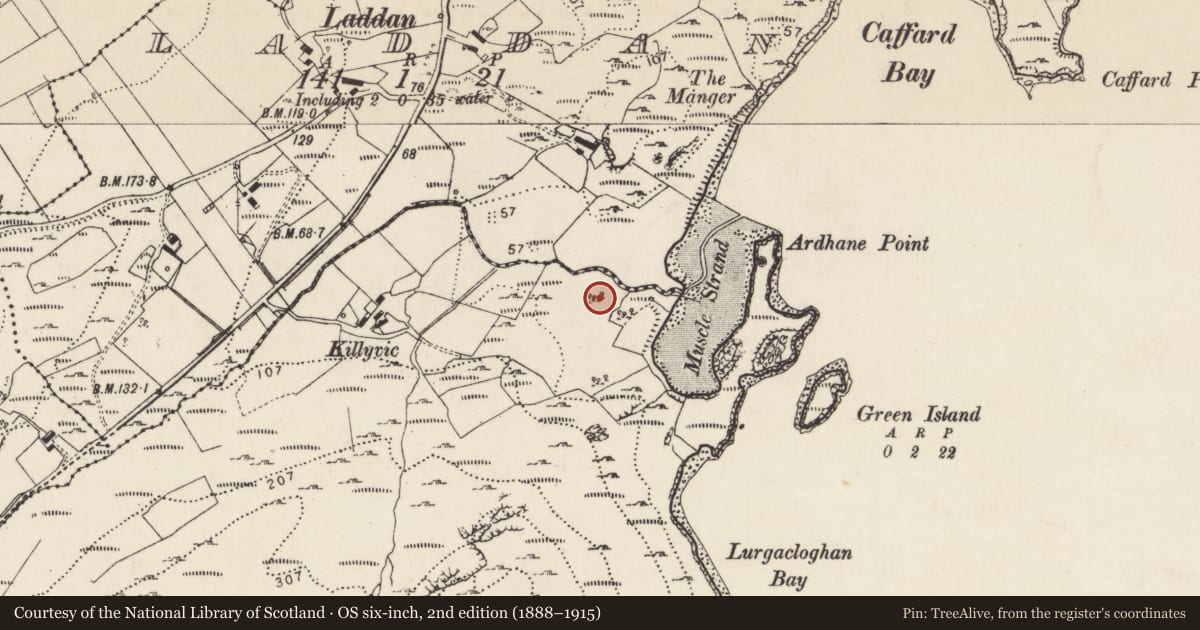 Ordnance Survey six-inch map, 2nd edition (1888–1915) covering the location of Burial ground, Lurgacloghan, County Donegal, with a pin at the register's coordinates