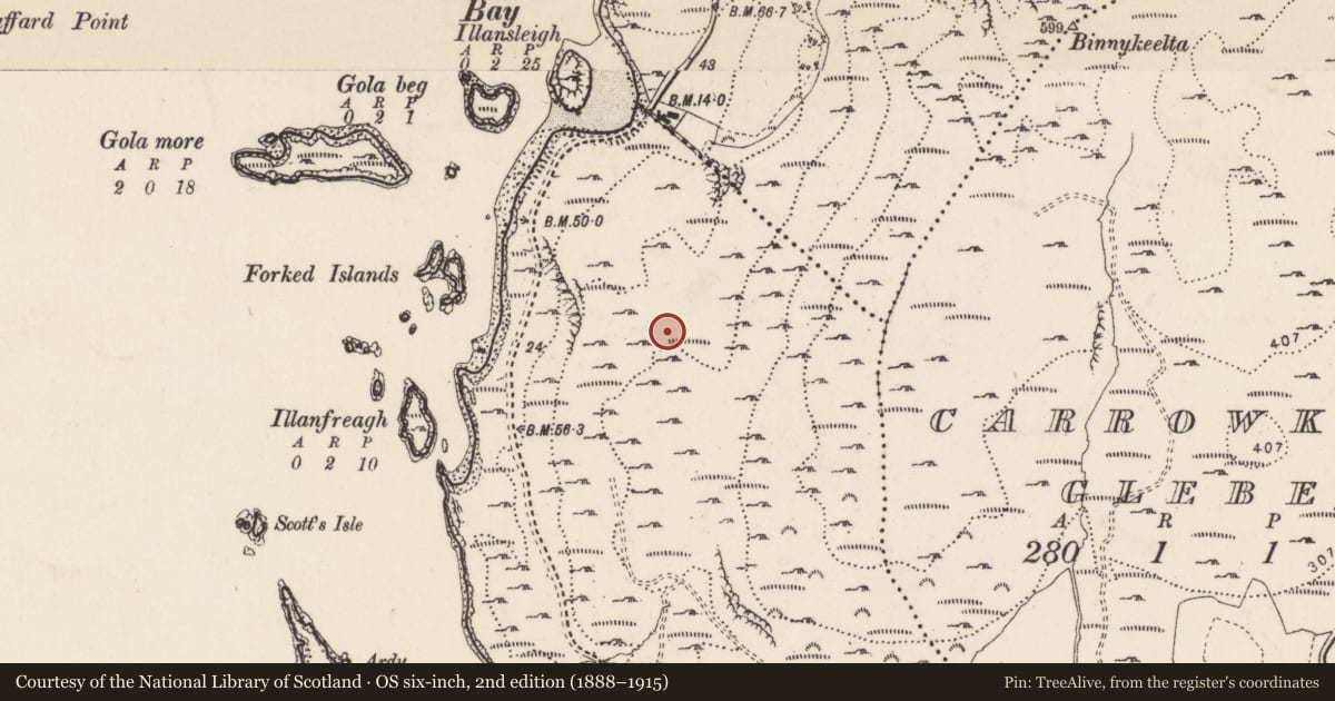 Ordnance Survey six-inch map, 2nd edition (1888–1915) covering the location of Cairn - unclassified, Croaghan, County Donegal, with a pin at the register's coordinates