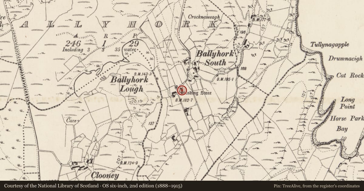 Ordnance Survey six-inch map, 2nd edition (1888–1915) covering the location of Standing stone, Ballyhork, County Donegal, with a pin at the register's coordinates