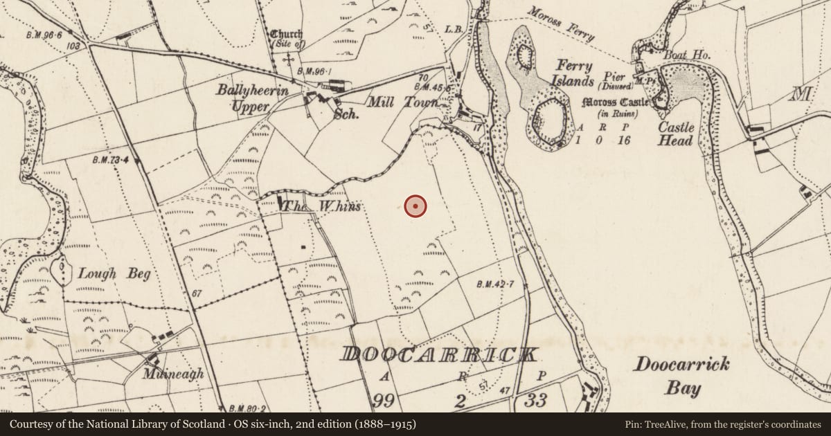 Ordnance Survey six-inch map, 2nd edition (1888–1915) covering the location of Ringfort - unclassified, Doocarrick, County Donegal, with a pin at the register's coordinates