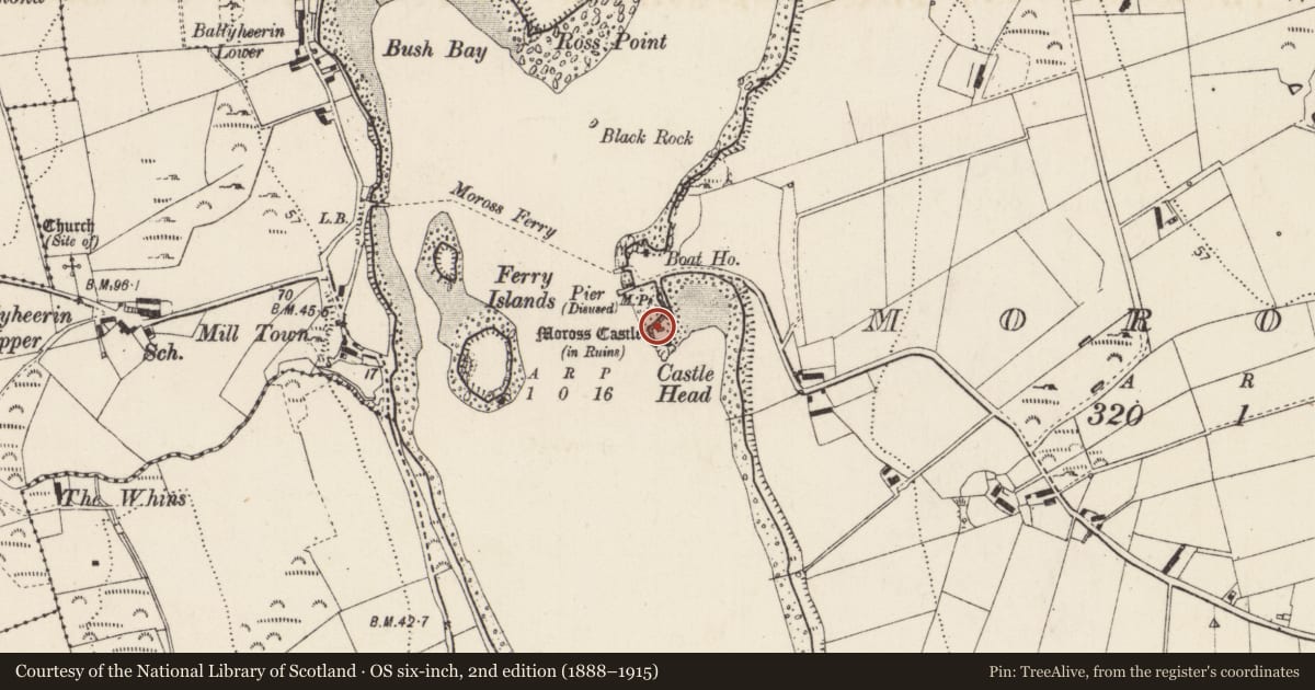 Ordnance Survey six-inch map, 2nd edition (1888–1915) covering the location of Castle - tower house, Moross, County Donegal, with a pin at the register's coordinates