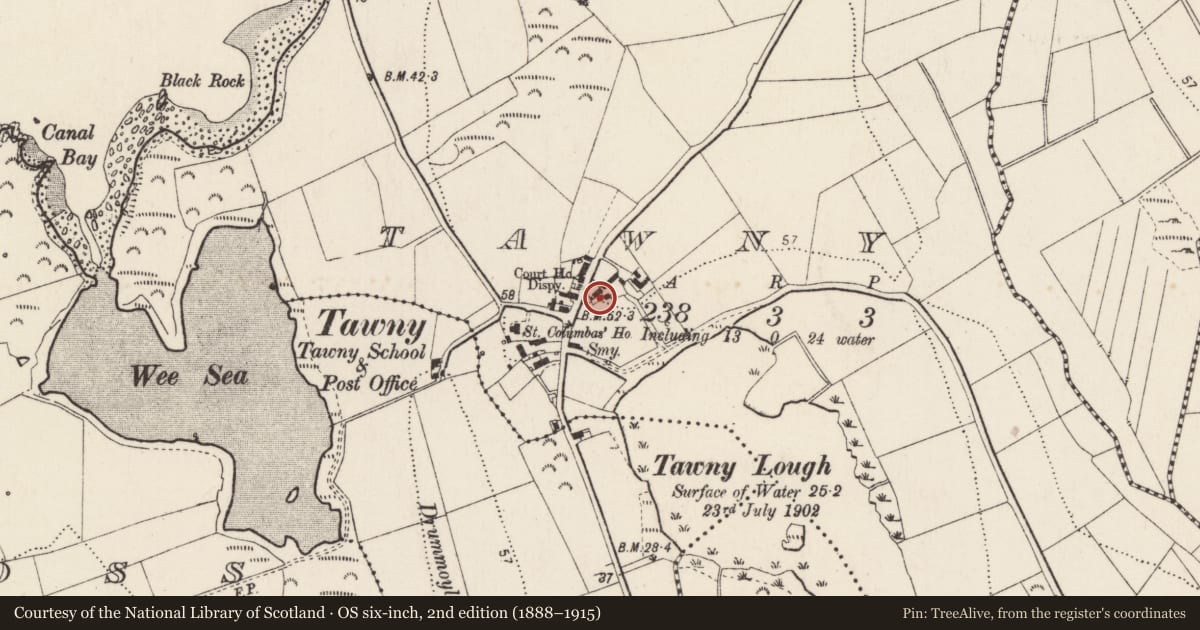 Ordnance Survey six-inch map, 2nd edition (1888–1915) covering the location of Bullaun stone, An Tamhnaigh (TC Ros na Cille), County Donegal, with a pin at the register's coordinates