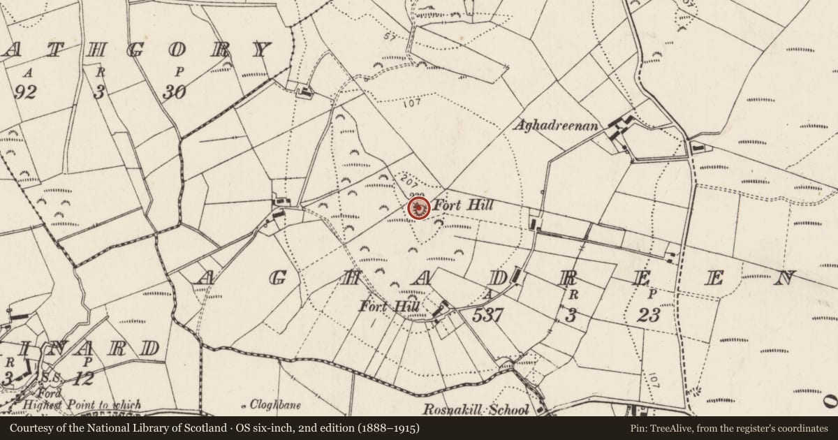 Ordnance Survey six-inch map, 2nd edition (1888–1915) covering the location of Ringfort - rath, Aghadreenan, County Donegal, with a pin at the register's coordinates