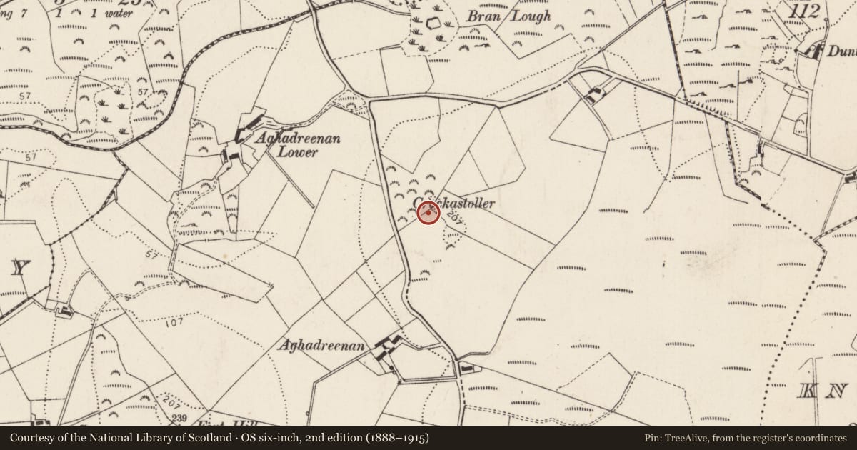 Ordnance Survey six-inch map, 2nd edition (1888–1915) covering the location of Standing stone, Aghadreenan, County Donegal, with a pin at the register's coordinates