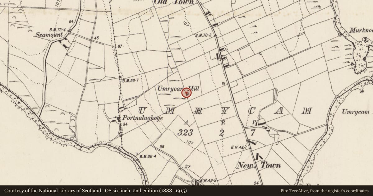 Ordnance Survey six-inch map, 2nd edition (1888–1915) covering the location of Enclosure, Umrycam, County Donegal, with a pin at the register's coordinates