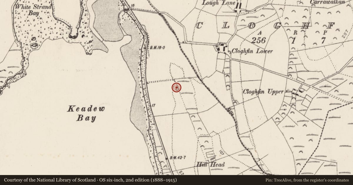 Ordnance Survey six-inch map, 2nd edition (1888–1915) covering the location of Barrow - ring-barrow, Ballymagowan Lower, County Donegal, with a pin at the register's coordinates