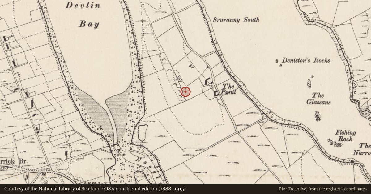 Ordnance Survey six-inch map, 2nd edition (1888–1915) covering the location of Ringfort - unclassified, Duibhleann Mór, County Donegal, with a pin at the register's coordinates