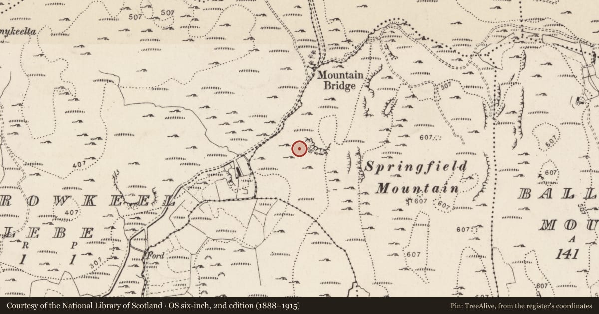 Ordnance Survey six-inch map, 2nd edition (1888–1915) covering the location of Hut site, Springfield, County Donegal, with a pin at the register's coordinates