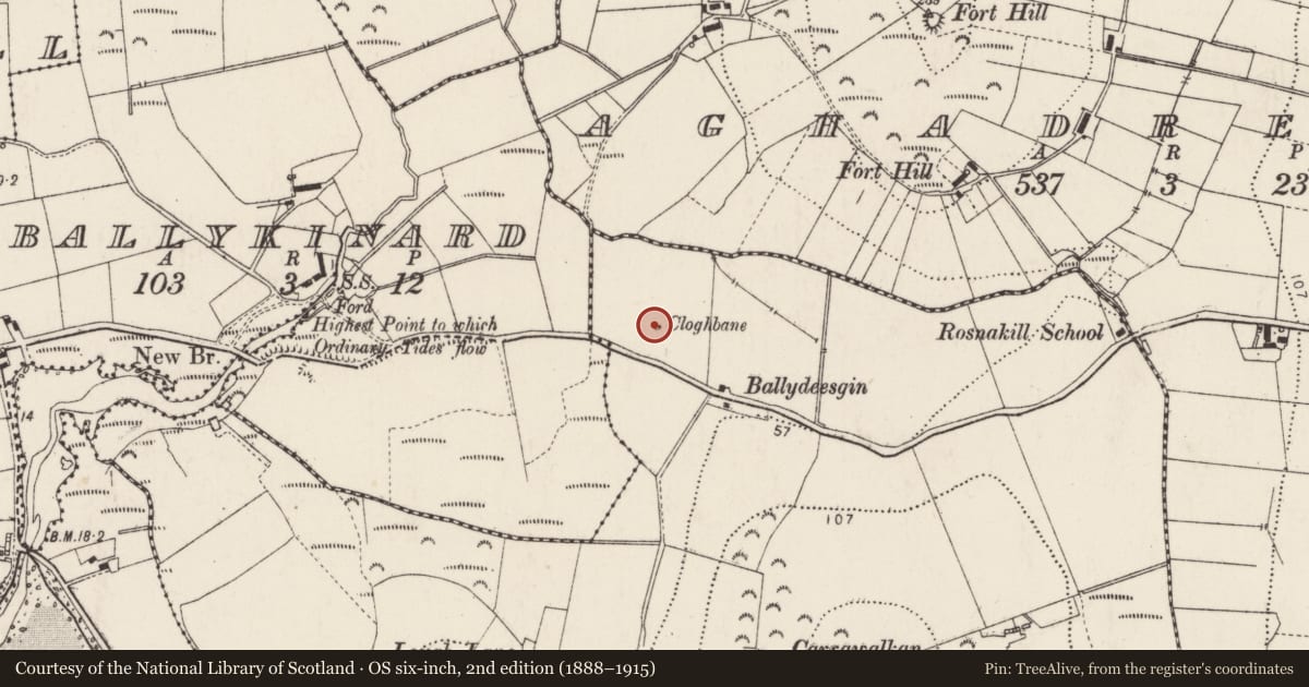 Ordnance Survey six-inch map, 2nd edition (1888–1915) covering the location of Standing stone, Cloghfin, County Donegal, with a pin at the register's coordinates