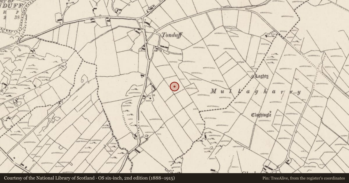 Ordnance Survey six-inch map, 2nd edition (1888–1915) covering the location of Ringfort - cashel, An Tóin Dubh (TC Díseart Eignigh), County Donegal, with a pin at the register's coordinates