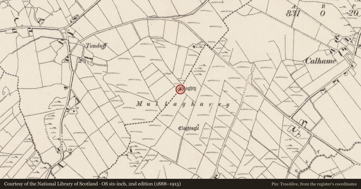 Ordnance Survey six-inch map, 2nd edition (1888–1915) covering the location of Megalithic tomb - wedge tomb, Sharagore, An Tóin Dubh (TC Allt na Péiste), County Donegal, with a pin at the register's coordinates