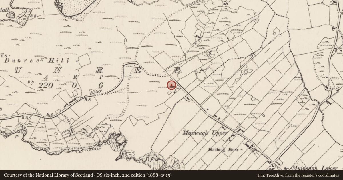 Ordnance Survey six-inch map, 2nd edition (1888–1915) covering the location of Cist, Dunree, County Donegal, with a pin at the register's coordinates