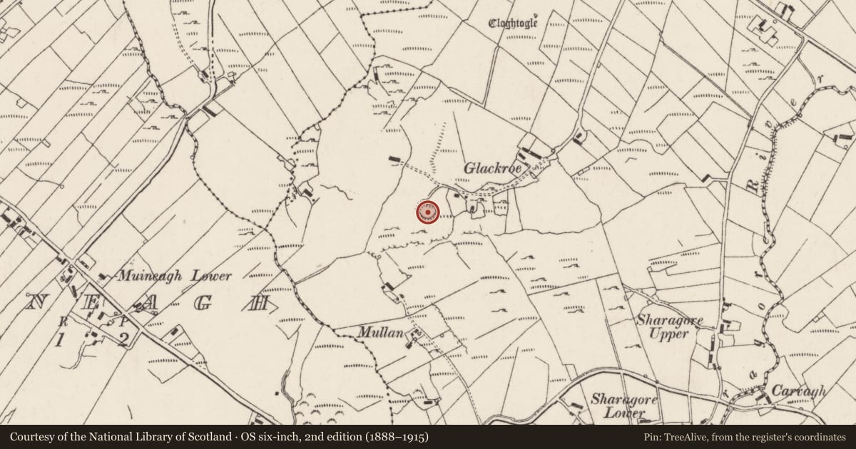 Ordnance Survey six-inch map, 2nd edition (1888–1915) covering the location of Ringfort - rath, Sharagore, County Donegal, with a pin at the register's coordinates