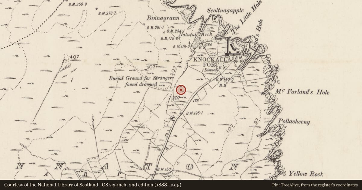 Ordnance Survey six-inch map, 2nd edition (1888–1915) covering the location of Burial ground, Bun Na Toinne, County Donegal, with a pin at the register's coordinates