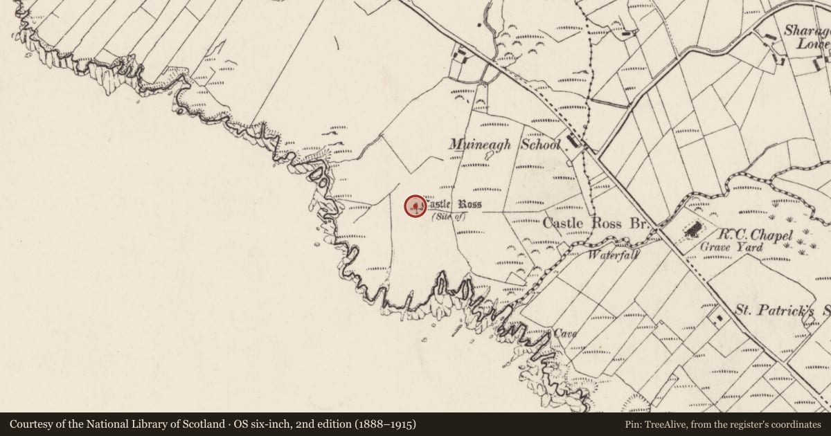 Ordnance Survey six-inch map, 2nd edition (1888–1915) covering the location of Castle - unclassified, Muineagh, County Donegal, with a pin at the register's coordinates