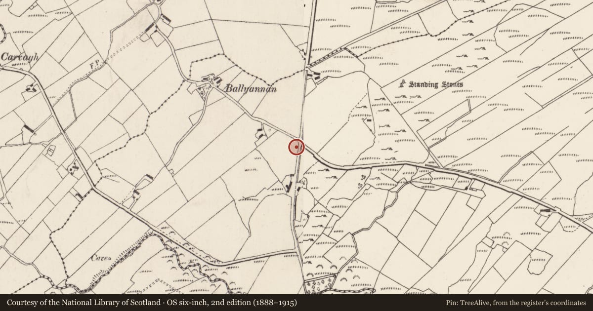 Ordnance Survey six-inch map, 2nd edition (1888–1915) covering the location of Rock art, Ballyannan, County Donegal, with a pin at the register's coordinates