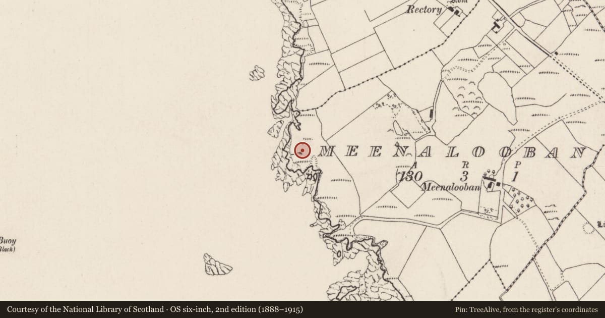 Ordnance Survey six-inch map, 2nd edition (1888–1915) covering the location of Ringfort - unclassified, Meenalooban, County Donegal, with a pin at the register's coordinates