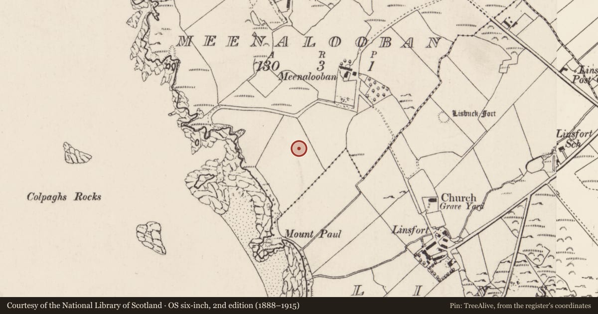 Ordnance Survey six-inch map, 2nd edition (1888–1915) covering the location of Cairn - unclassified, Meenalooban, County Donegal, with a pin at the register's coordinates