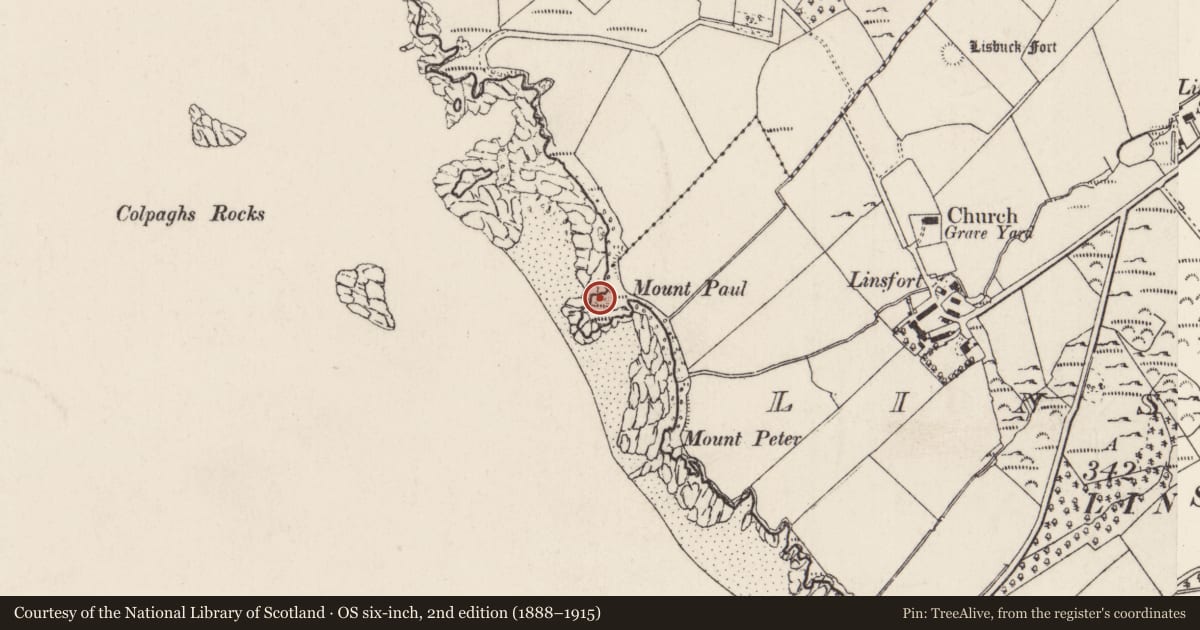Ordnance Survey six-inch map, 2nd edition (1888–1915) covering the location of Promontory fort - coastal, Linsfort, County Donegal, with a pin at the register's coordinates