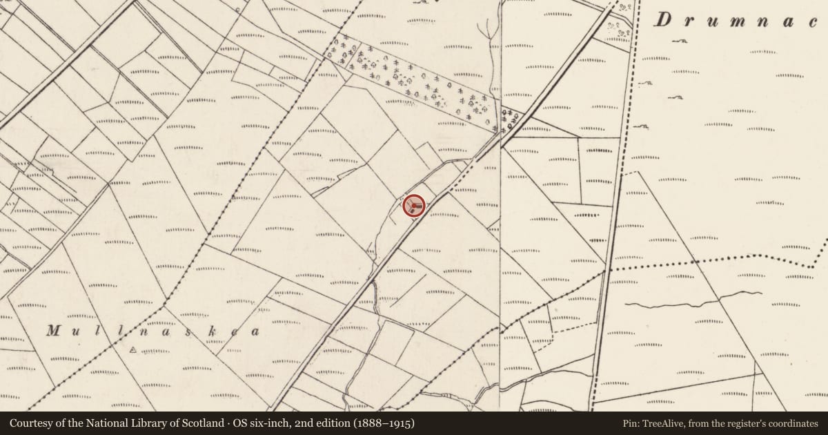 Ordnance Survey six-inch map, 2nd edition (1888–1915) covering the location of Rock art, Sharagore, County Donegal, with a pin at the register's coordinates