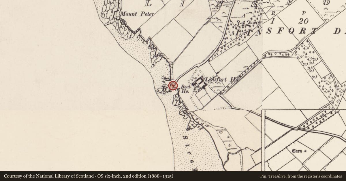 Ordnance Survey six-inch map, 2nd edition (1888–1915) covering the location of Promontory fort - coastal, Linsfort, County Donegal, with a pin at the register's coordinates