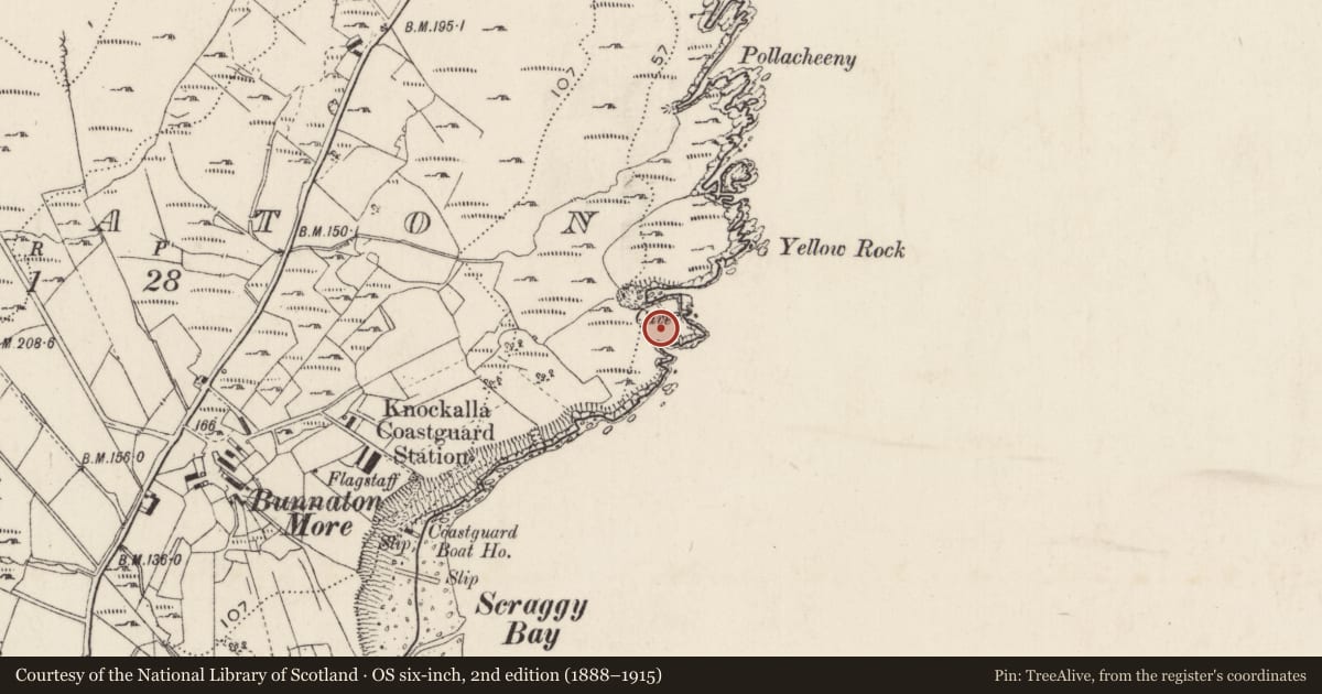 Ordnance Survey six-inch map, 2nd edition (1888–1915) covering the location of Promontory fort - coastal, Bun Na Toinne, County Donegal, with a pin at the register's coordinates