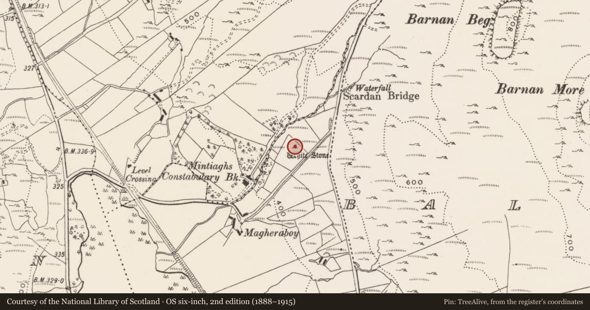 Ordnance Survey six-inch map, 2nd edition (1888–1915) covering the location of Standing stone, Ballinlough, County Donegal, with a pin at the register's coordinates