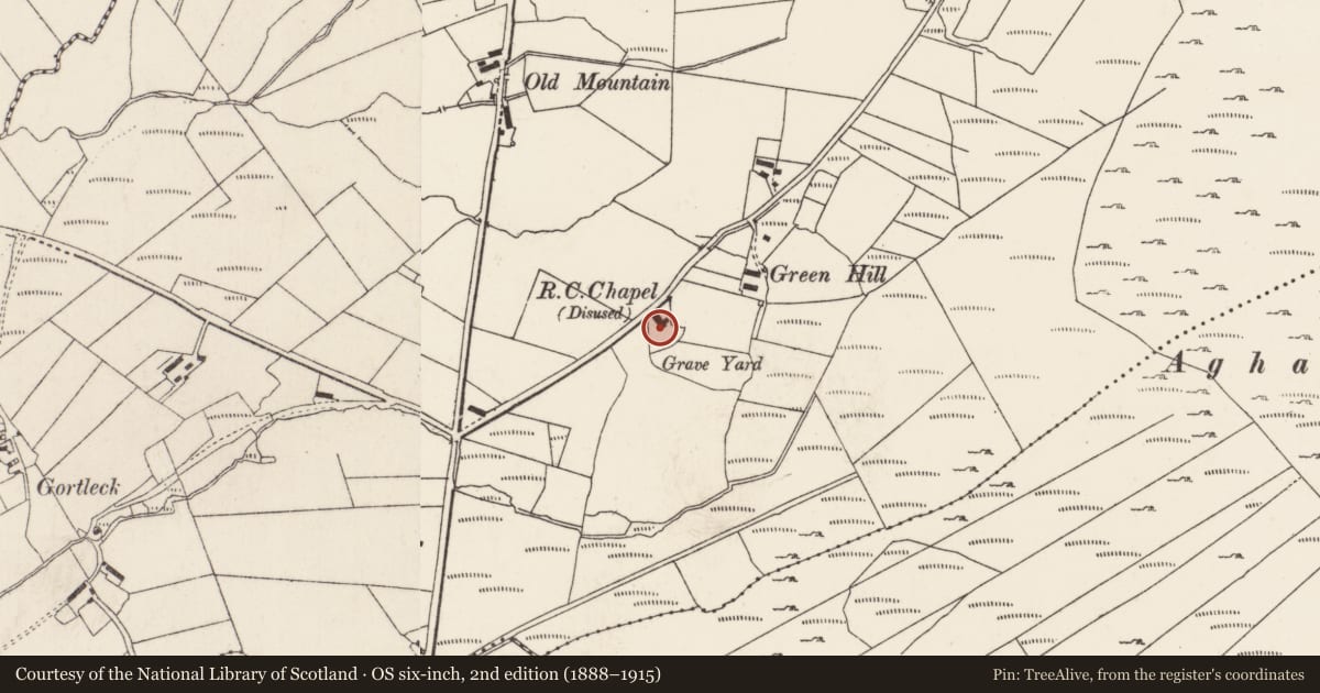 Ordnance Survey six-inch map, 2nd edition (1888–1915) covering the location of Cross-inscribed stone, Gortleck, County Donegal, with a pin at the register's coordinates
