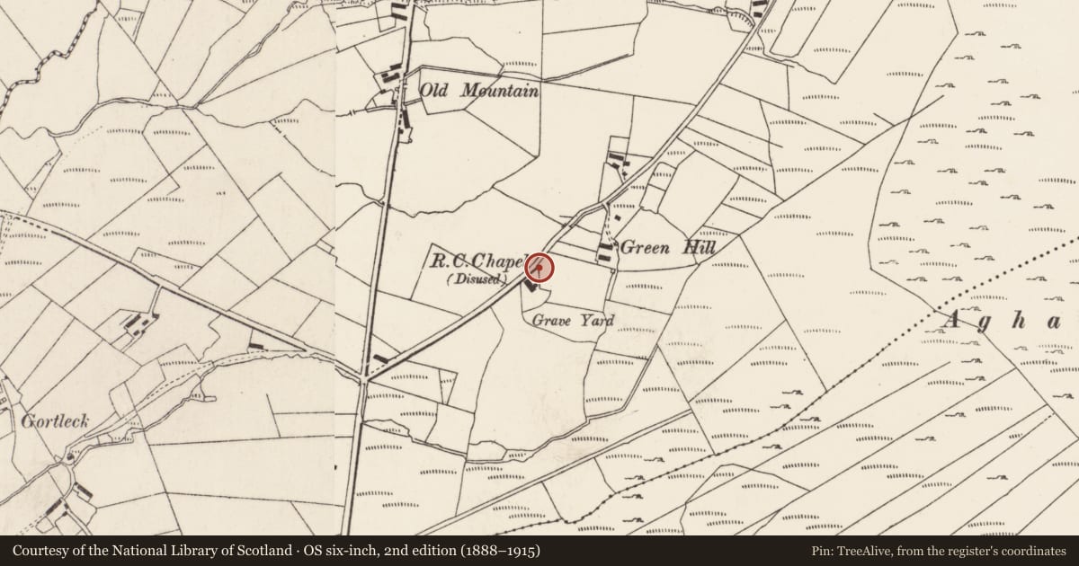 Ordnance Survey six-inch map, 2nd edition (1888–1915) covering the location of Rock art, Gortleck, County Donegal, with a pin at the register's coordinates