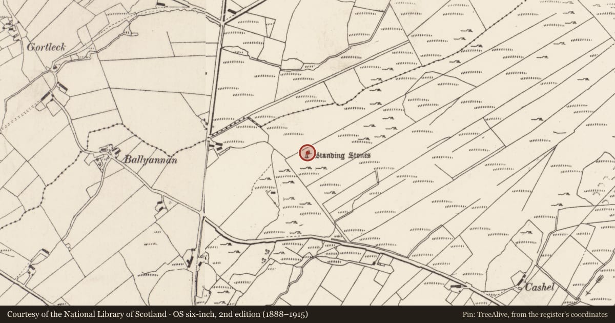 Ordnance Survey six-inch map, 2nd edition (1888–1915) covering the location of Standing stone, Ballyannan, County Donegal, with a pin at the register's coordinates