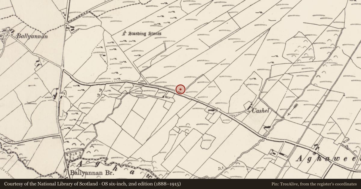 Ordnance Survey six-inch map, 2nd edition (1888–1915) covering the location of Standing stone, Ballyannan, County Donegal, with a pin at the register's coordinates