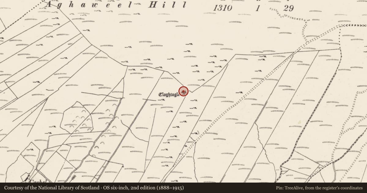 Ordnance Survey six-inch map, 2nd edition (1888–1915) covering the location of Megalithic tomb - portal tomb, Ballyannan, County Donegal, with a pin at the register's coordinates