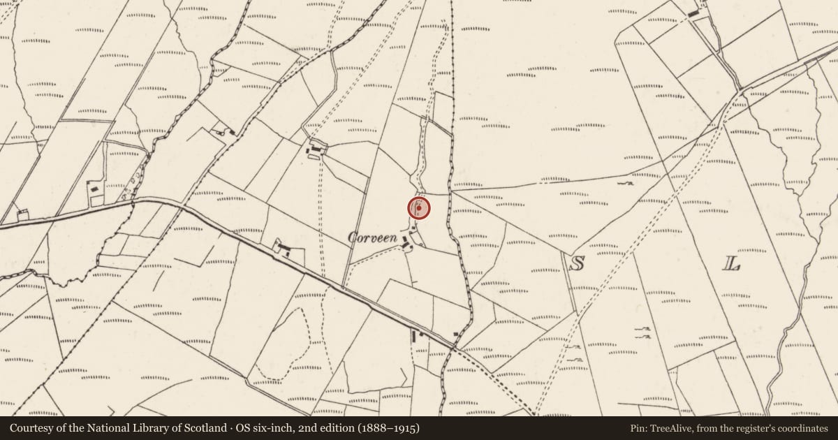 Ordnance Survey six-inch map, 2nd edition (1888–1915) covering the location of Standing stone, Gortyarrigan, County Donegal, with a pin at the register's coordinates