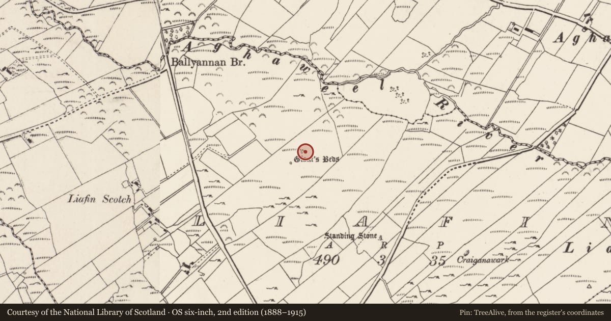 Ordnance Survey six-inch map, 2nd edition (1888–1915) covering the location of Megalithic tomb - court tomb, Liafin, County Donegal, with a pin at the register's coordinates