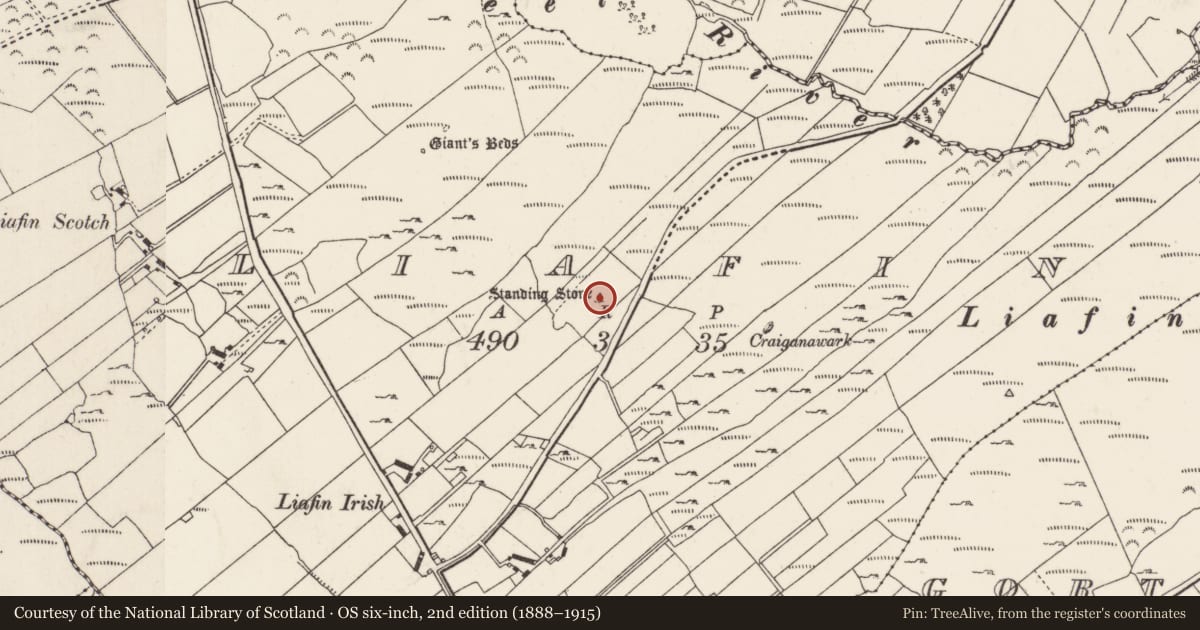 Ordnance Survey six-inch map, 2nd edition (1888–1915) covering the location of Standing stone, Liafin, County Donegal, with a pin at the register's coordinates