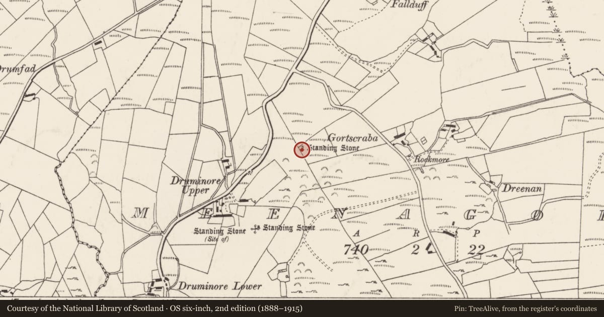 Ordnance Survey six-inch map, 2nd edition (1888–1915) covering the location of Standing stone, Meenagory, County Donegal, with a pin at the register's coordinates