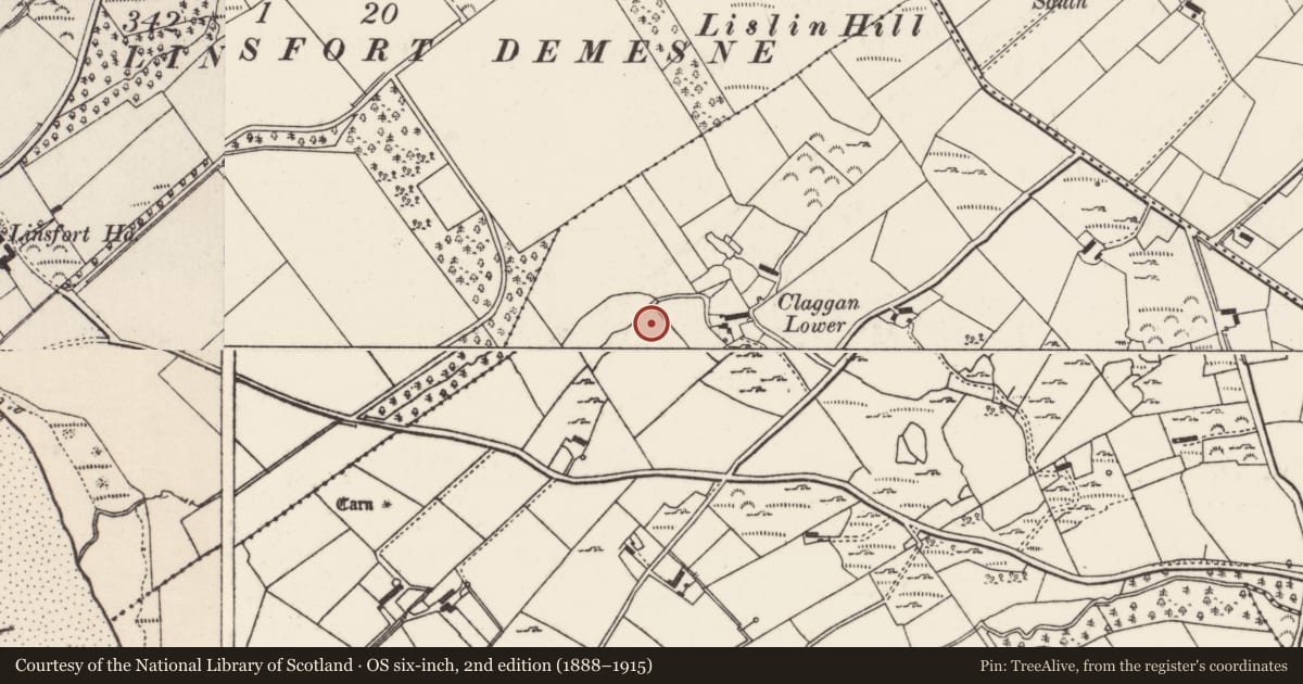 Ordnance Survey six-inch map, 2nd edition (1888–1915) covering the location of Megalithic tomb - unclassified, Ballynarry, County Donegal, with a pin at the register's coordinates