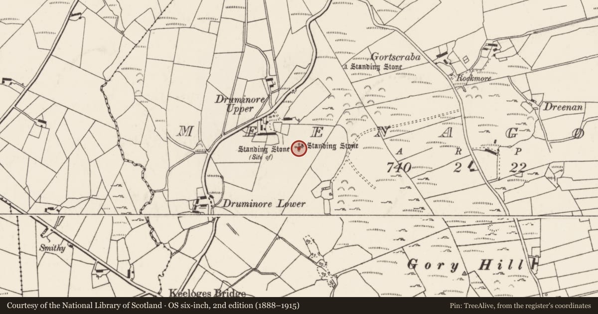 Ordnance Survey six-inch map, 2nd edition (1888–1915) covering the location of Standing stone, Meenagory, County Donegal, with a pin at the register's coordinates