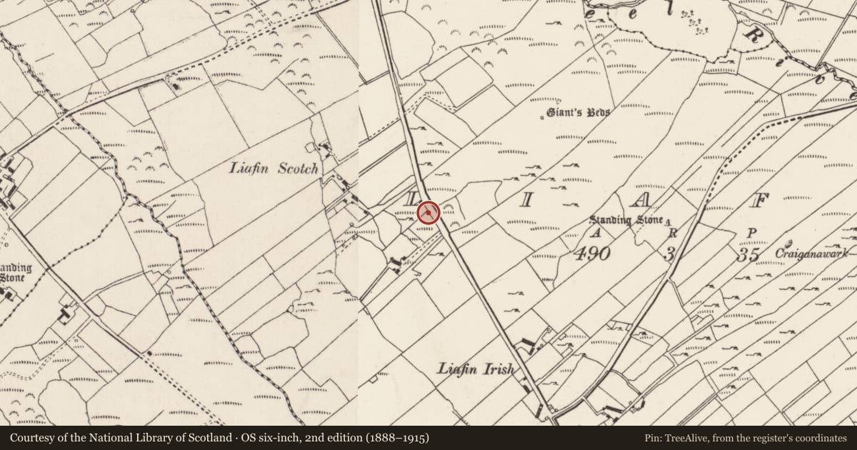 Ordnance Survey six-inch map, 2nd edition (1888–1915) covering the location of Megalithic structure, Liafin, County Donegal, with a pin at the register's coordinates