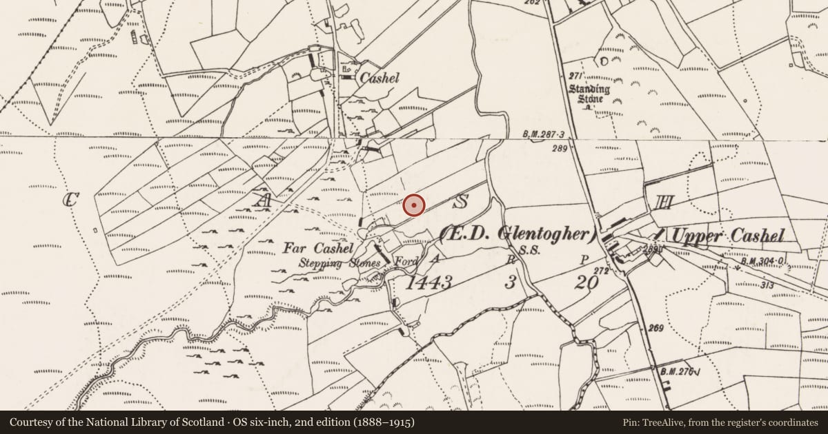 Ordnance Survey six-inch map, 2nd edition (1888–1915) covering the location of Burial, Cashel, County Donegal, with a pin at the register's coordinates