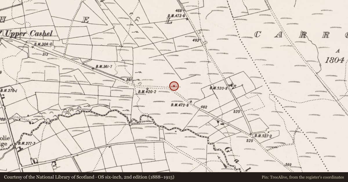Ordnance Survey six-inch map, 2nd edition (1888–1915) covering the location of Field system, Cashel, County Donegal, with a pin at the register's coordinates