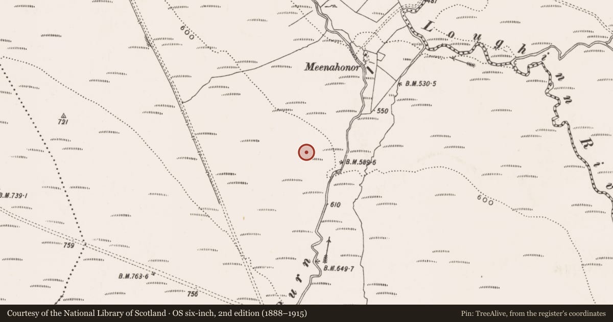 Ordnance Survey six-inch map, 2nd edition (1888–1915) covering the location of Stone circle, An Cheathrú Riabhach (TC Gleann Ó gCeanann), County Donegal, with a pin at the register's coordinates