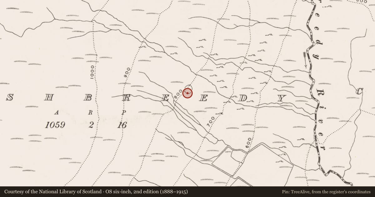Ordnance Survey six-inch map, 2nd edition (1888–1915) covering the location of Ringfort - cashel, Evishbreedy, County Donegal, with a pin at the register's coordinates